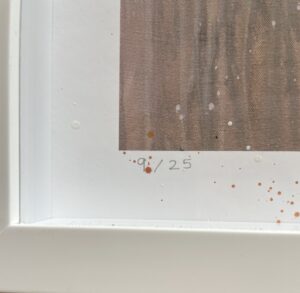 Framed artwork titled 'Windrose' by Sophie Tea, showing an edition number 9 of 25.