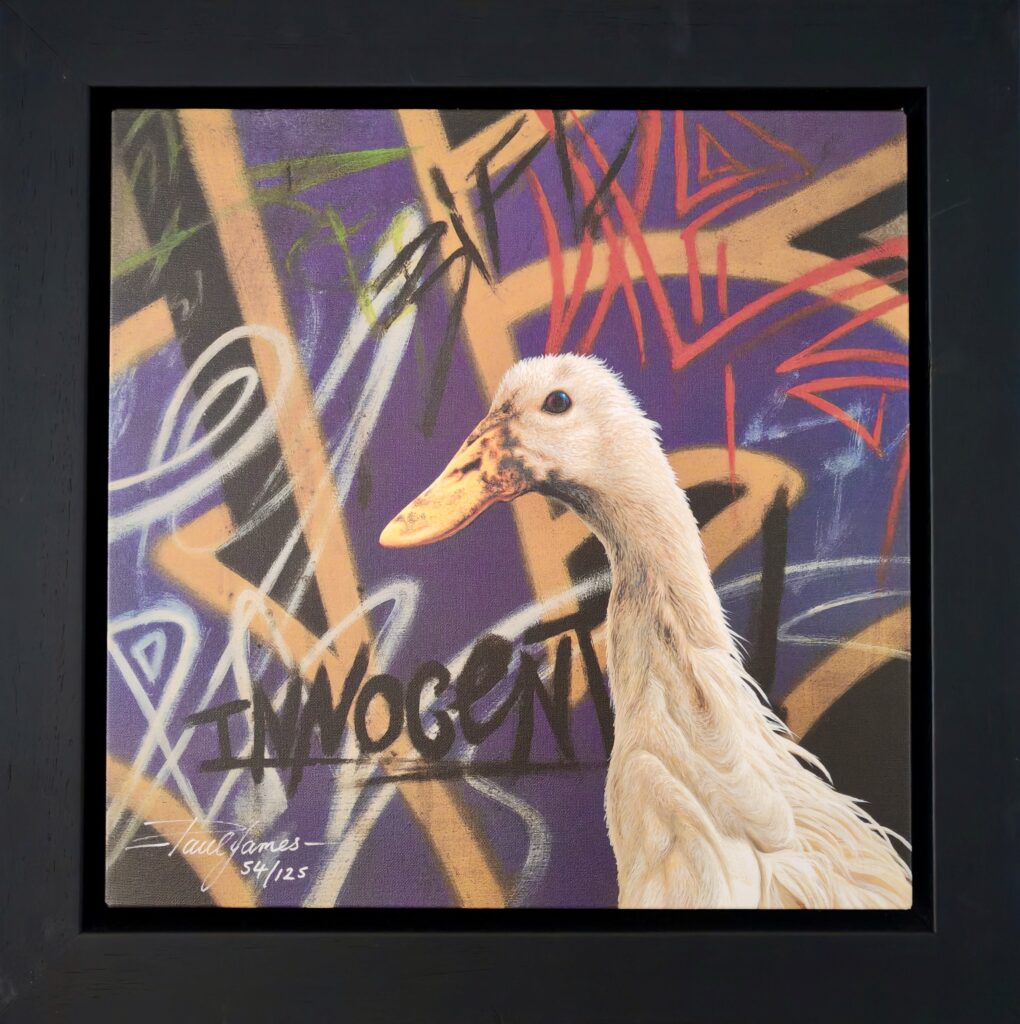 painting of a duck against a graffiti-covered wall titled 'Innocent' by Paul James