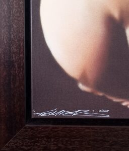 Signature and edition number on A Peaceful Kind by Temper